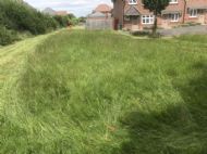 Click for all images